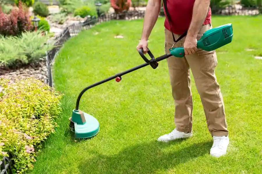 The Difference Between Brush Cutting And Traditional Mowing in Greenville, SC