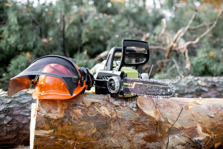 Understanding The Importance Of Professional Tree Cutting in Greenville, SC